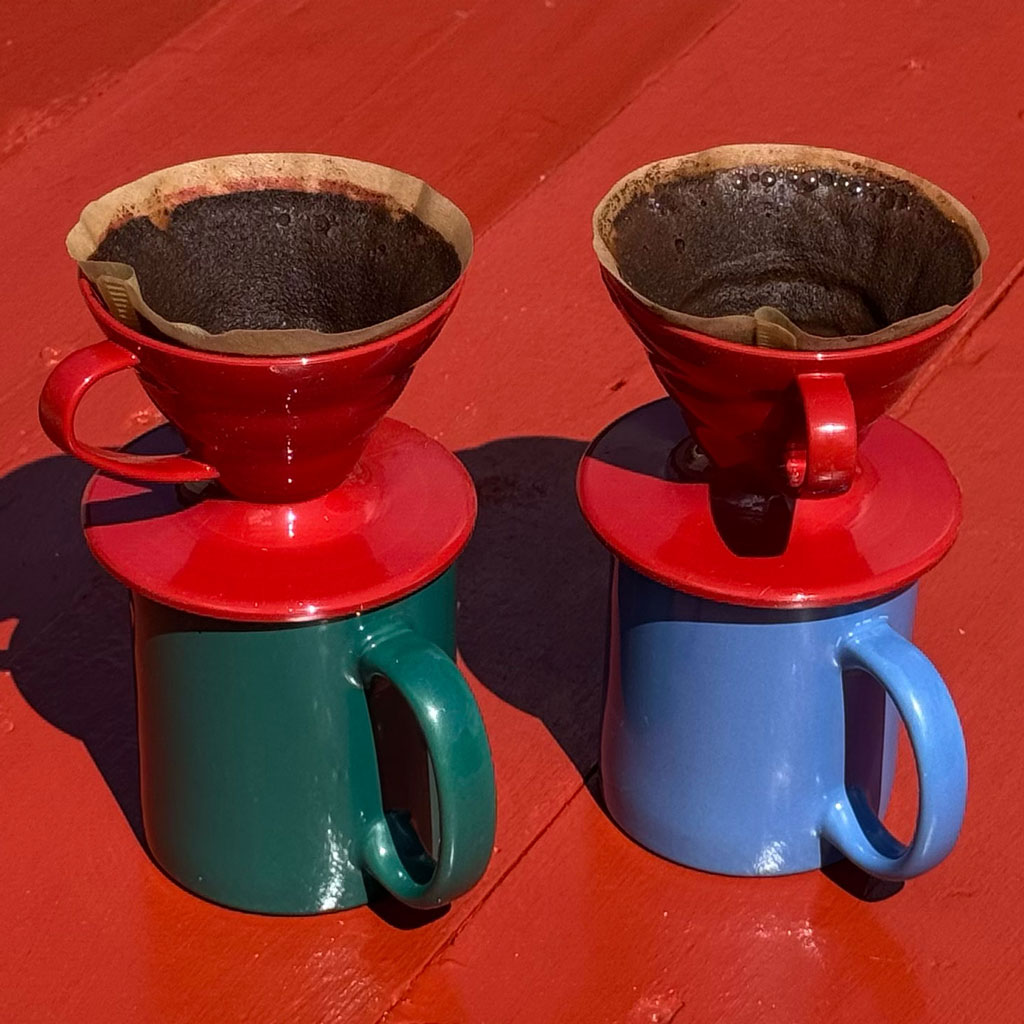 Freshly brewed pour-over coffee and homemade cake in our eco-café in Sandvig, ideal for cyclists on the Berlin-Copenhagen cycle route and the Mönchsweg trail.